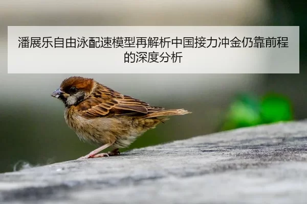 潘展乐自由泳配速模型再解析中国接力冲金仍靠前程的深度分析
